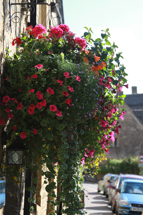 Beautiful hanging baskets outside The Old Bakehouse B&amp;B